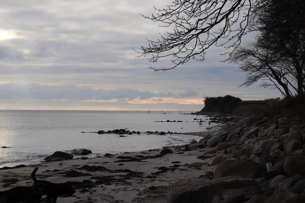 Ferienwohnung Fleckeby Schlei Fjord Light Экстерьер фото